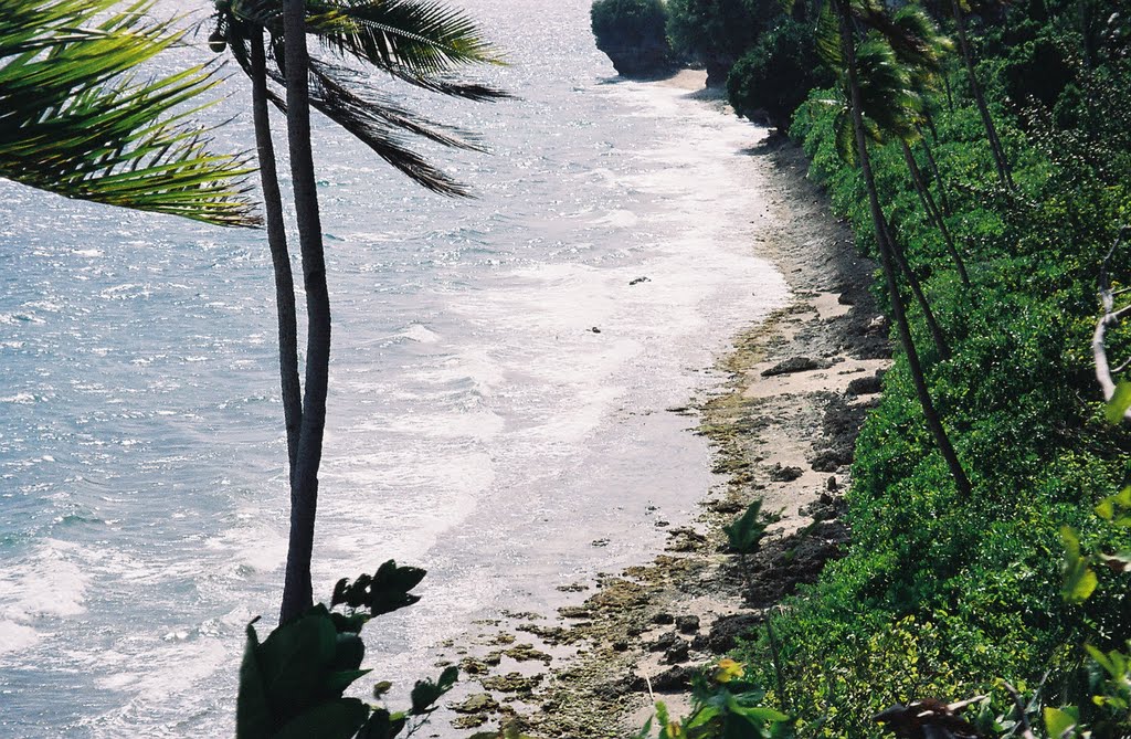 Birseye view of beach by Kurak