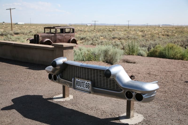 Petrified Forest National Park by www.scenicphotograph…