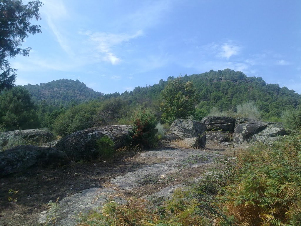 Cerro de las vivoras desde zona recreativa by pinta398