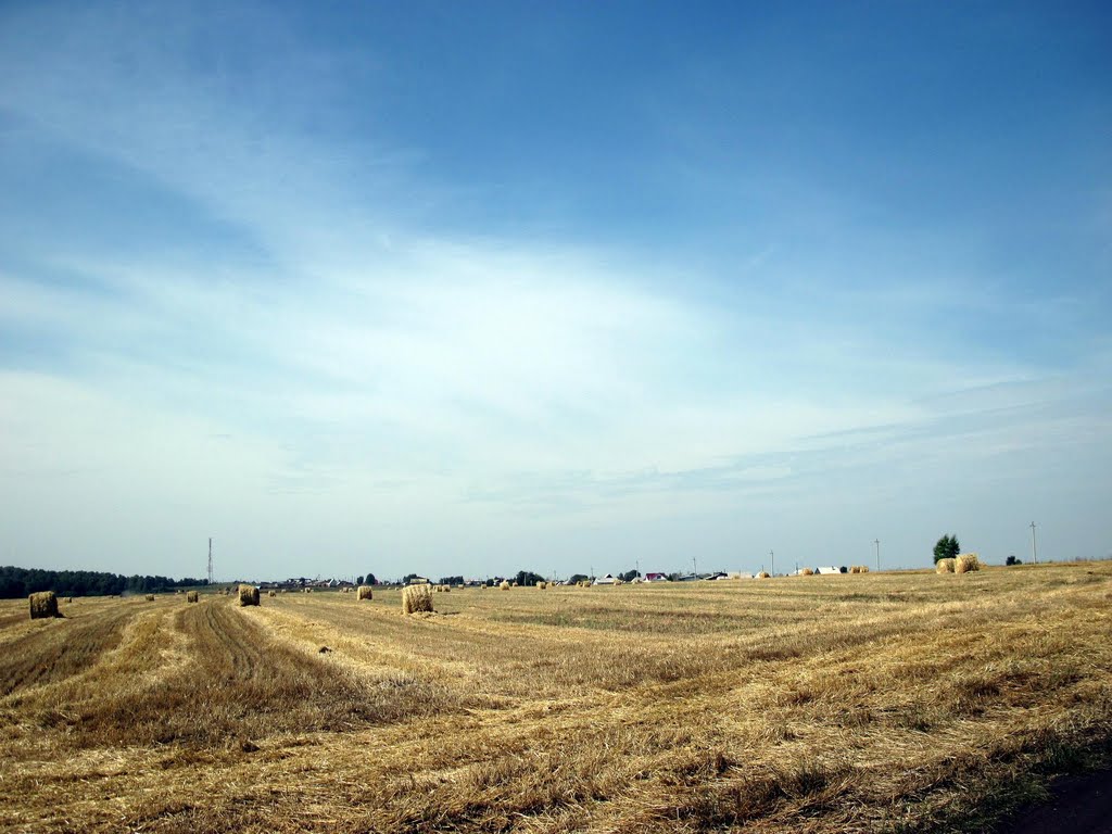 Prokopyevsky District, Kemerovo Oblast, Russia by RV9UV