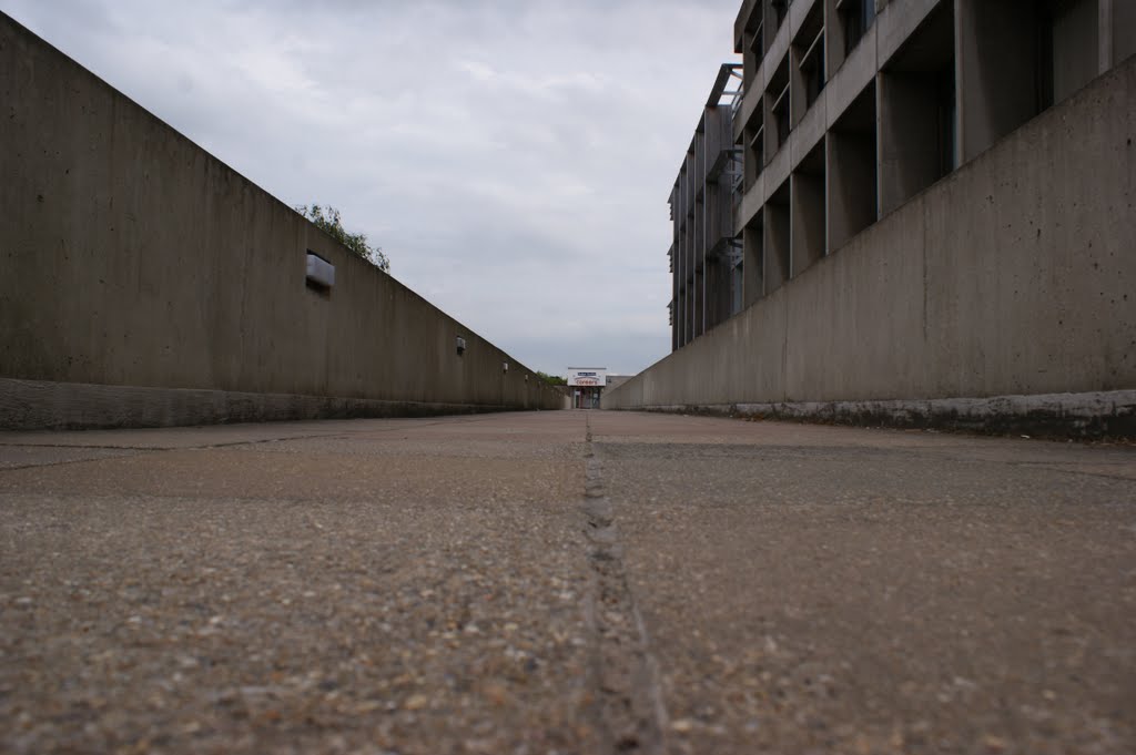 UEA Campus by SmallGrayBox