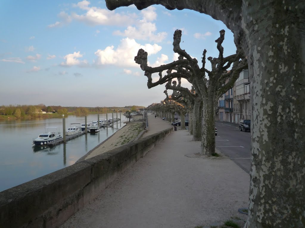 Promenade in Tournus by stefan wintgen