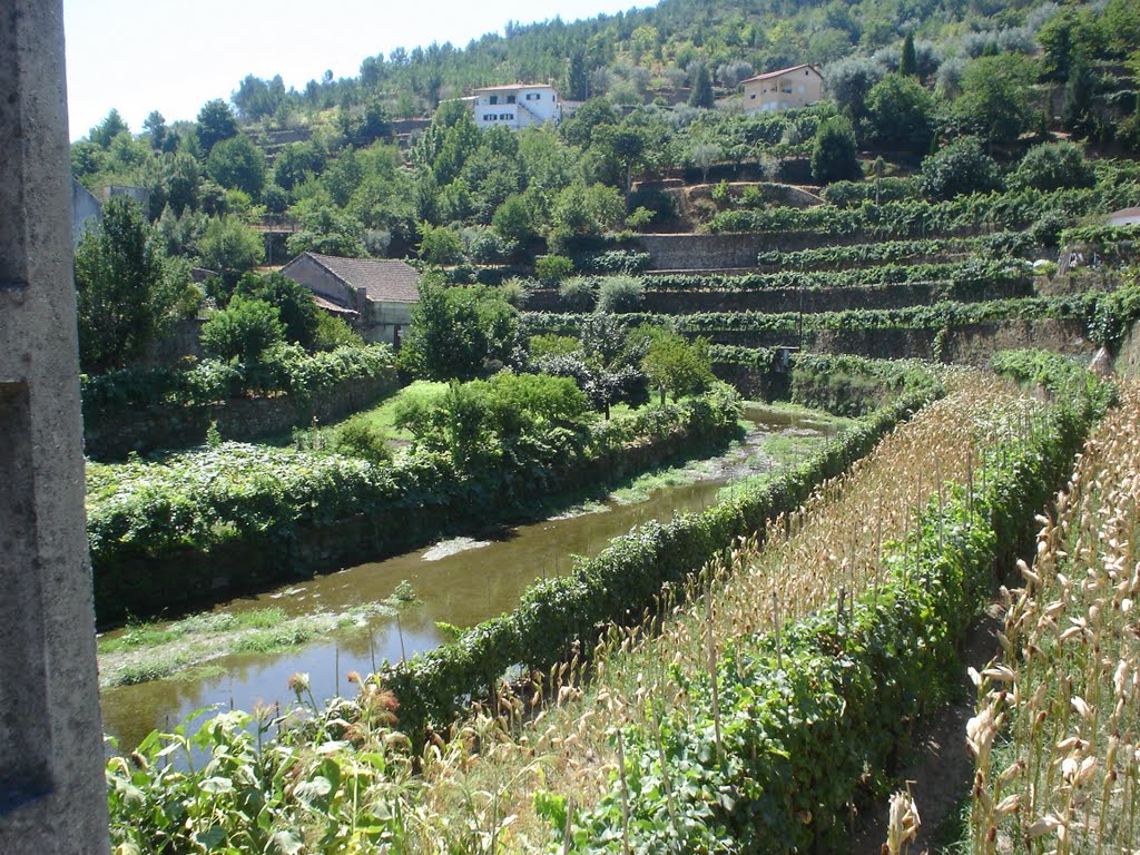 Ribeira de Pomares - Avô by joao carlos marques …