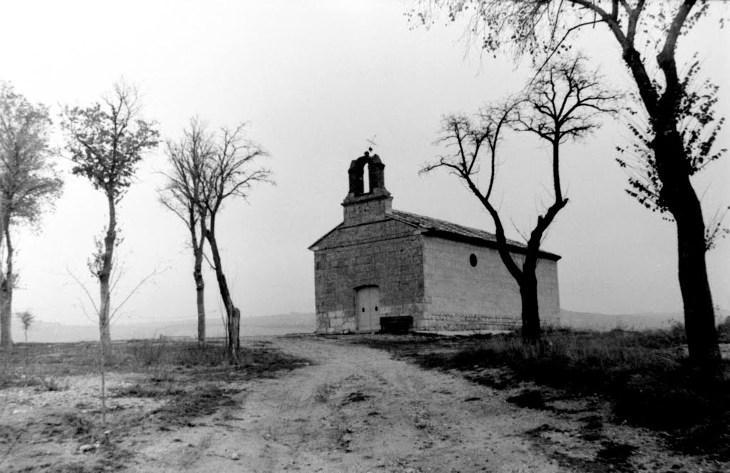 Piña de Esgueva (Ermita de San Pedro) 1982 by Carlos Orobon