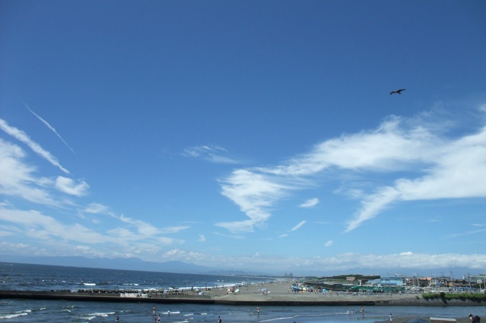 River mouth of Hikiji river （引地川河口付近） by hiro.n