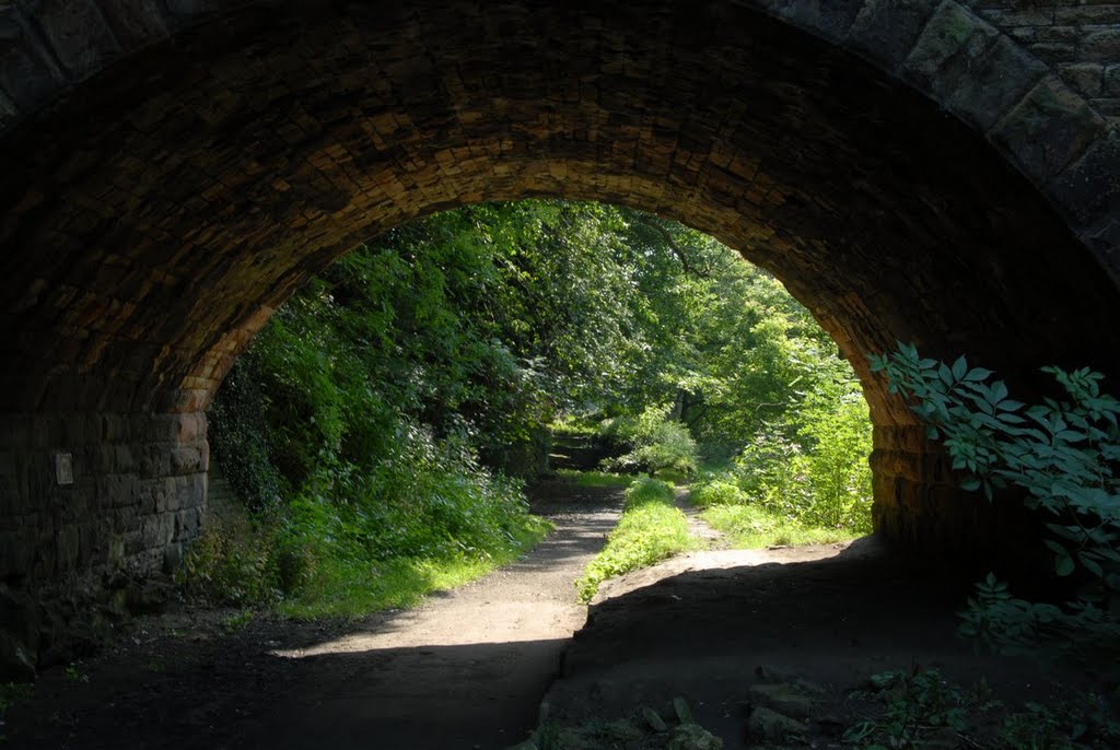 Through the arch by David Humphreys