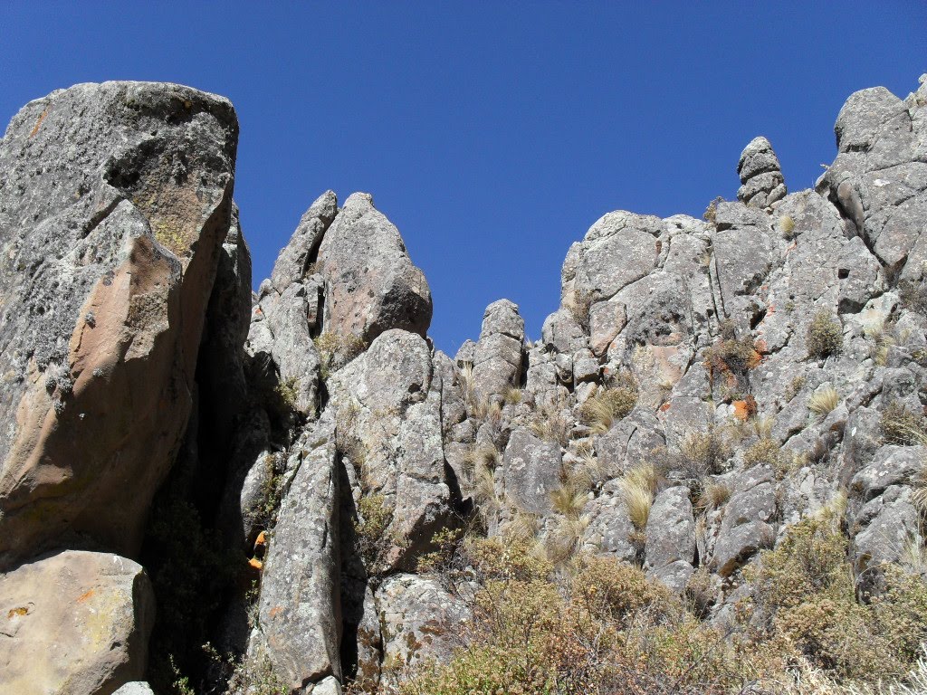 Mitad del cerro cherhacci by The Dalas