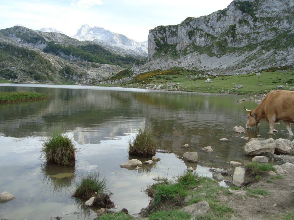 Lago Ercina by madrilenio