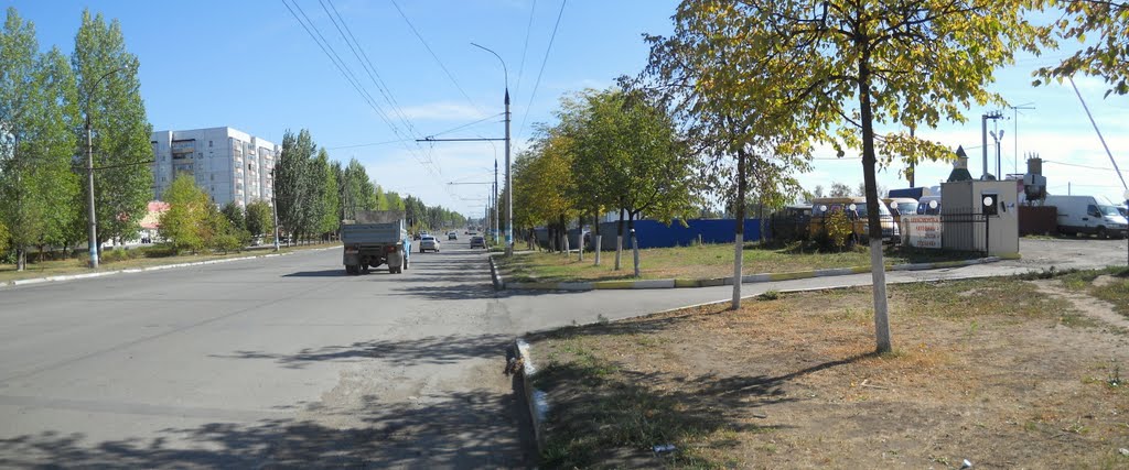 Zavolzhskiy rayon, Ulyanovsk, Ulyanovskaya oblast', Russia by Виктор Усинский