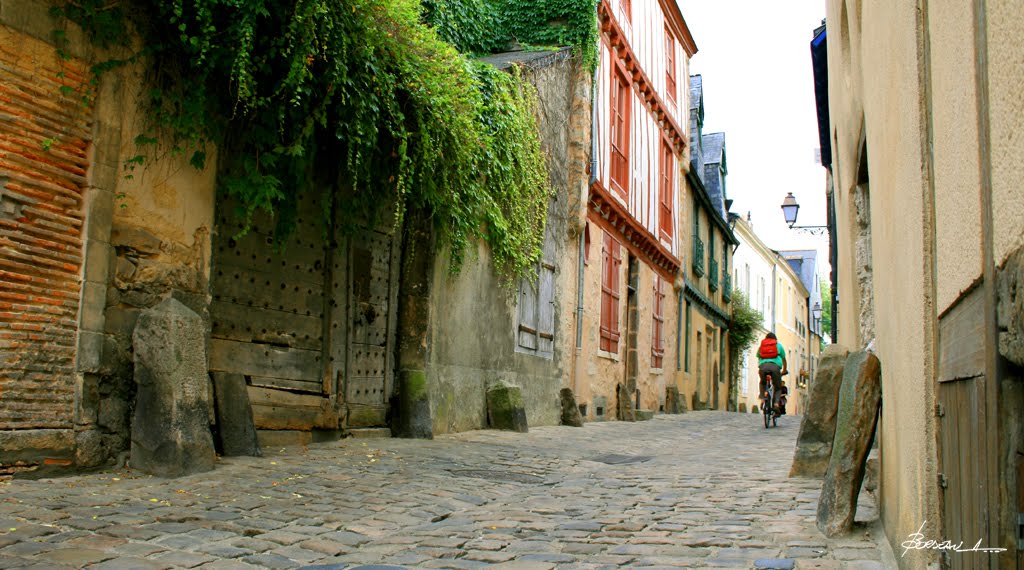 République, 72100 Le Mans, France by BORDEAU Alain.(NO VI…