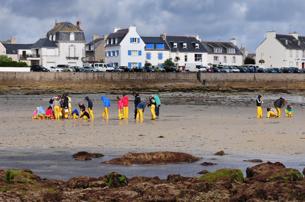 School on the beach by BritPlom