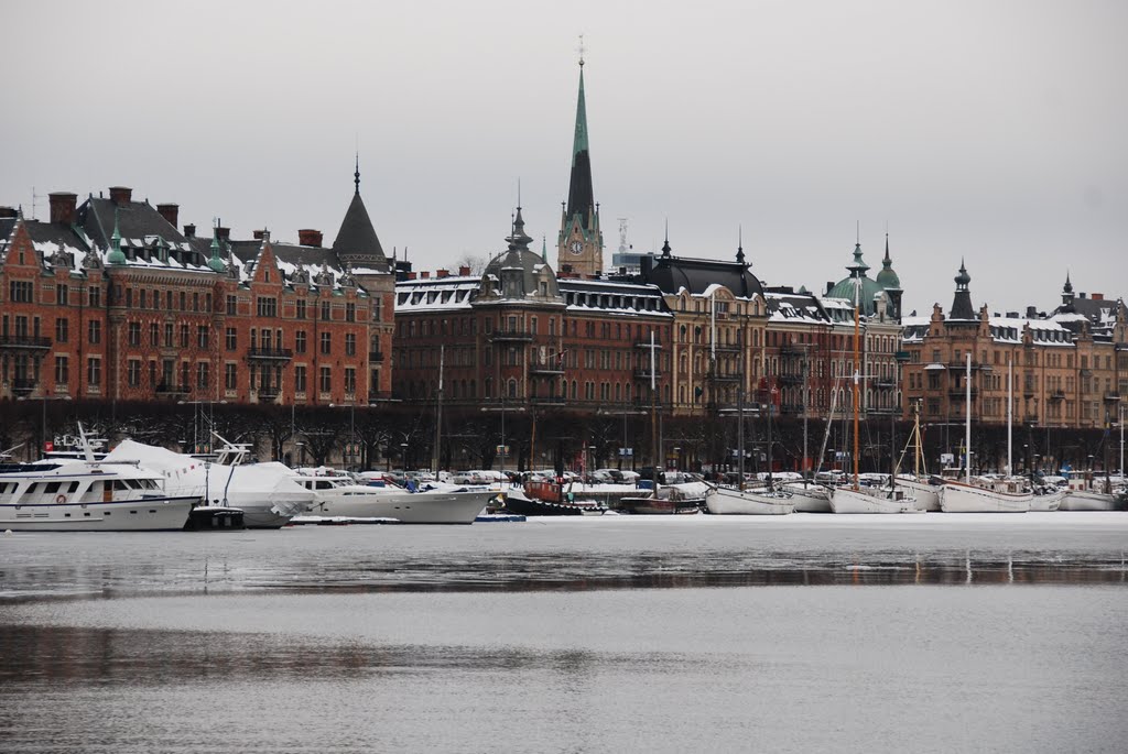 Strandvägen at winter from seaside by perlar