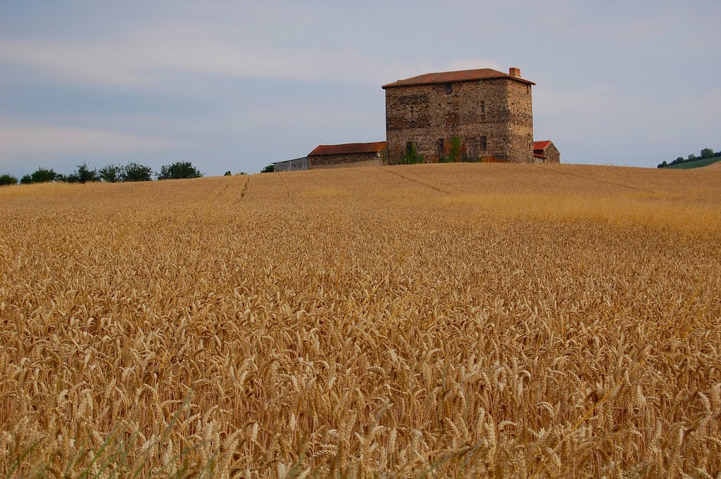 Château de La Fouilhouze by Les Argonautes