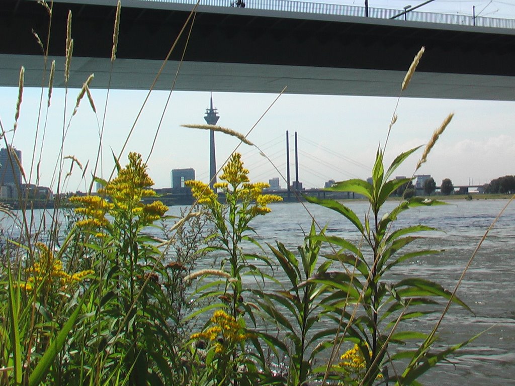 Düsseldorf-Pempelfort, Düsseldorf, Germany by Steffen Linke