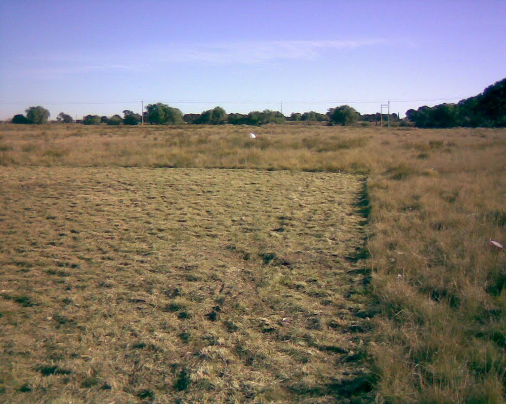 Bahía Blanca, Buenos Aires Province, Argentina by emilianofch