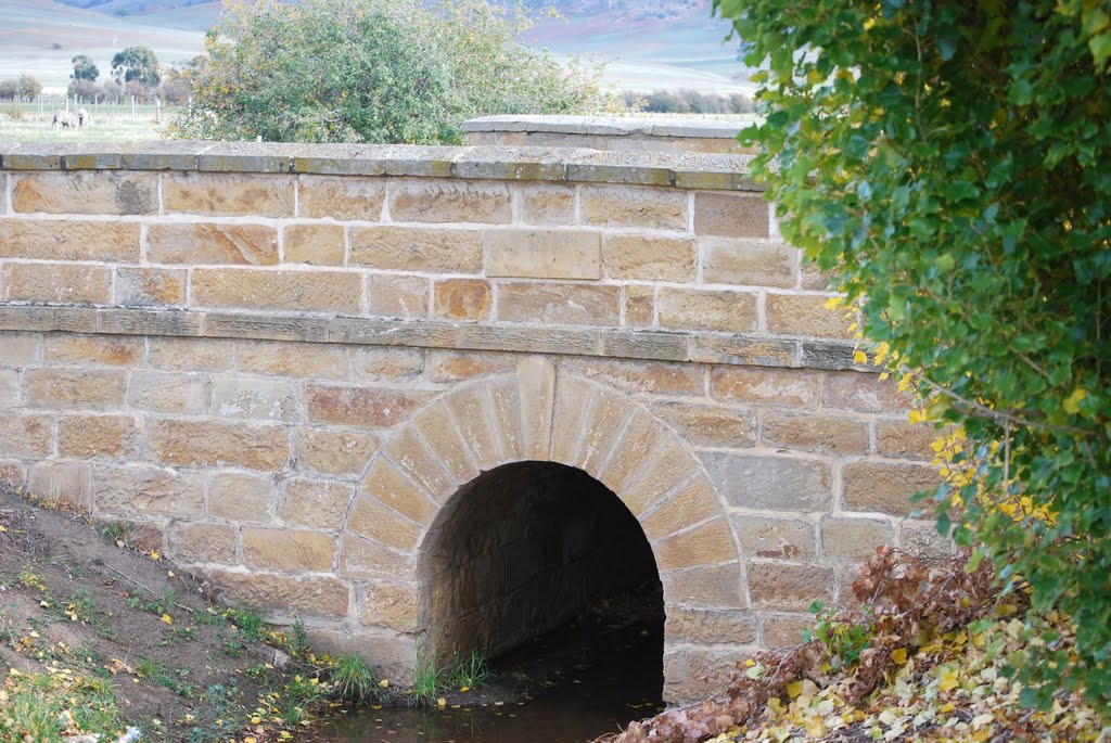 A bridge over a tributary of the Jordan River by noel & carolyn