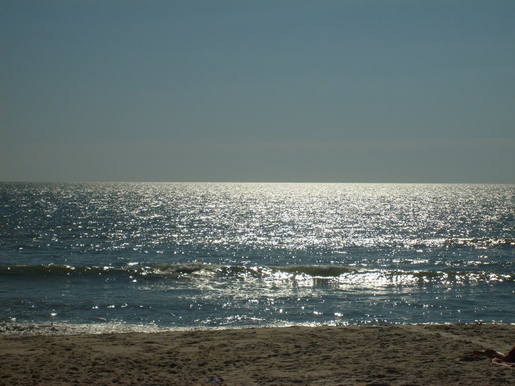 Assateague State Park MD. by Romulo Gramajo