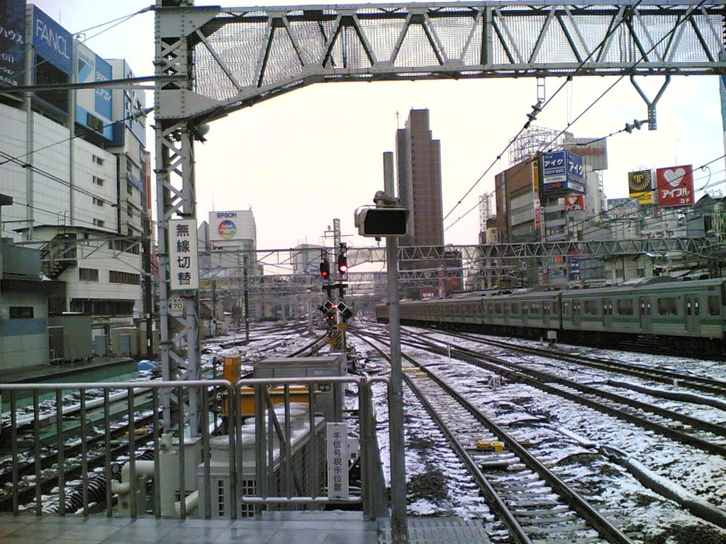 Snowy Shinjuku by sadaham