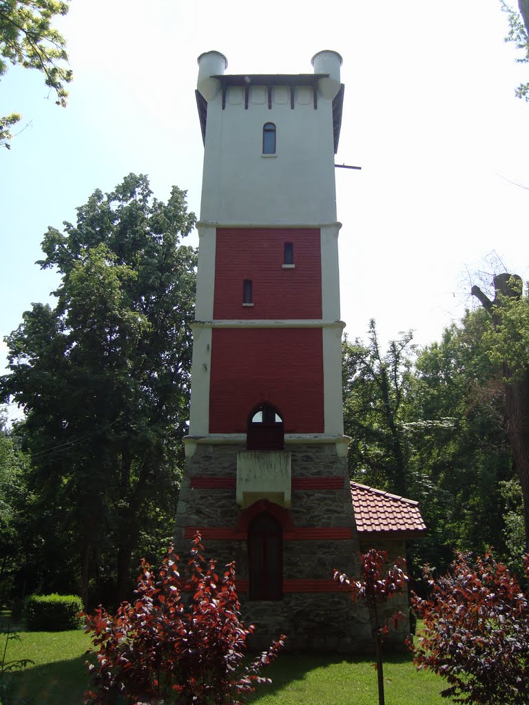 Fire tower by Mladin Marius Daniel