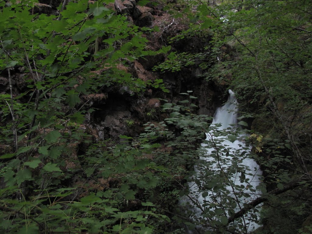 Rogue River Gorge by mdugan