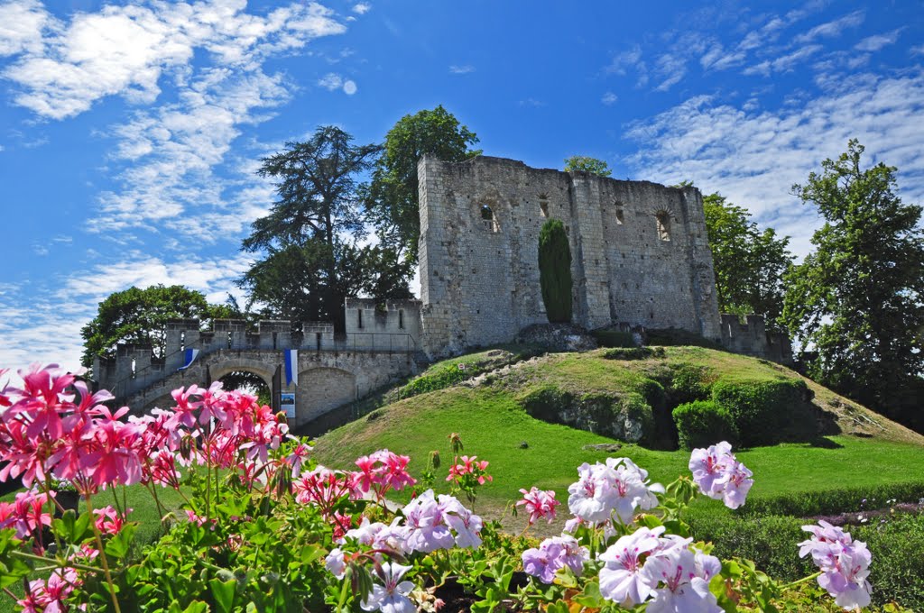 Château de Langeais by Isaie D