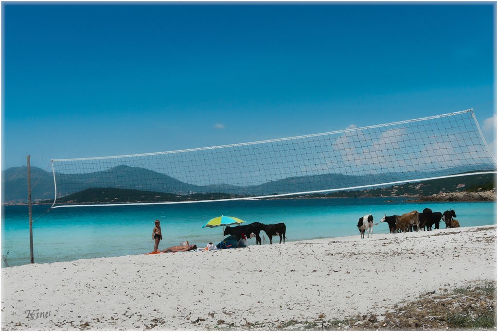 PLAGE ET NATURE by kinet jean jacques