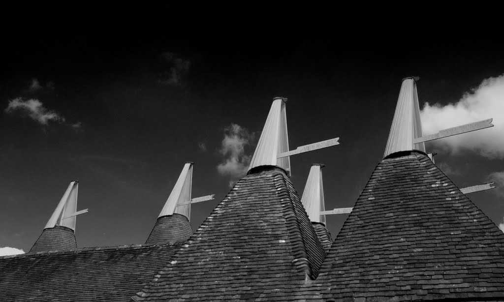 Oasthouse roof, near Sissinghurst, Kent by David Bainbridge