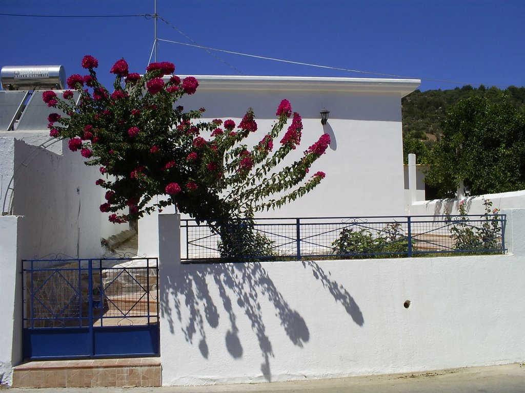 Traditional Rhodian Home Outside by christos313