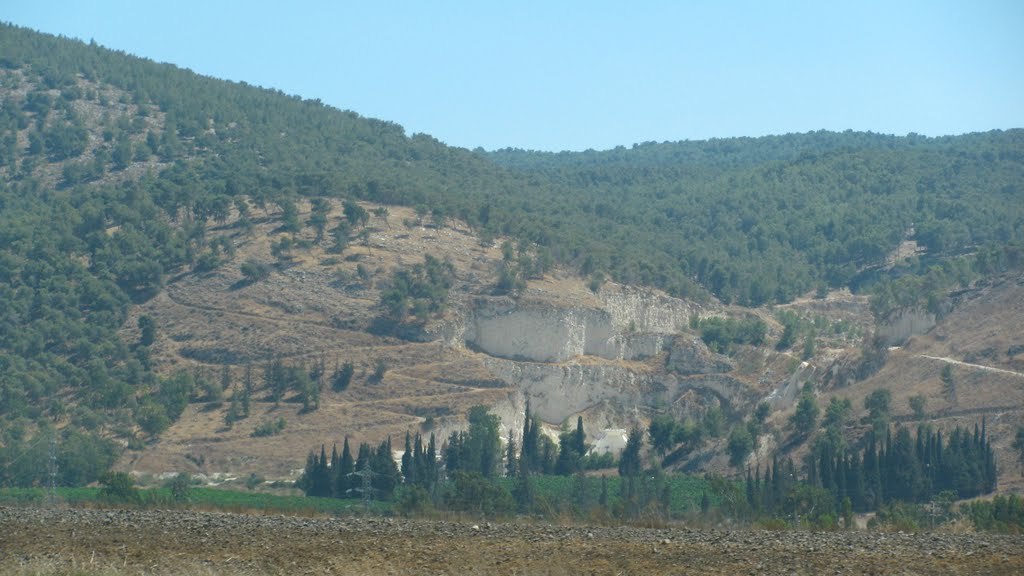 Emek Harod, Israel by ‫ליאורה ספיר‬‎