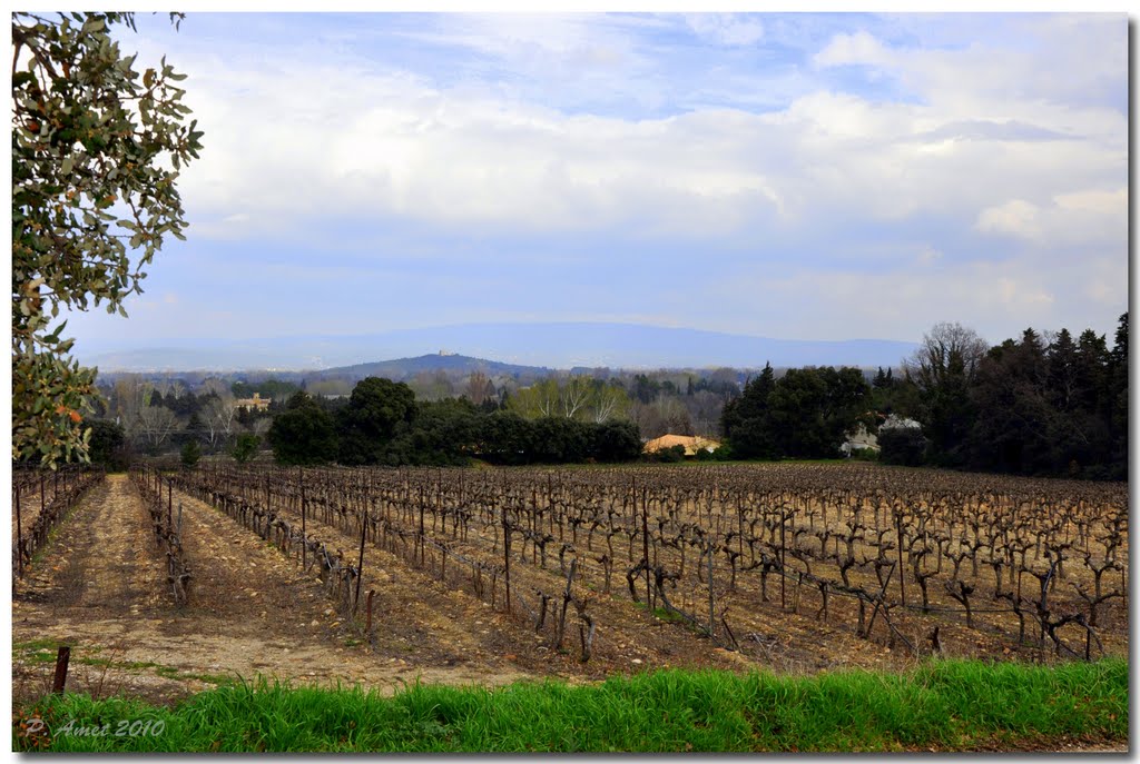 Chateauneuf de Gadagne, Provence, Vaucluse, PACA,France. by Patrick LeThorois