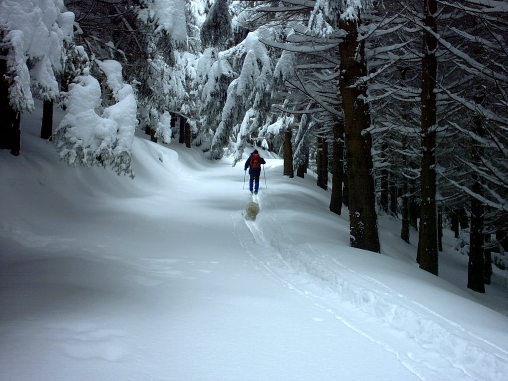 Verso il rifugio di Monte Cavallo con Peo e Chicca by Marco Bernardini