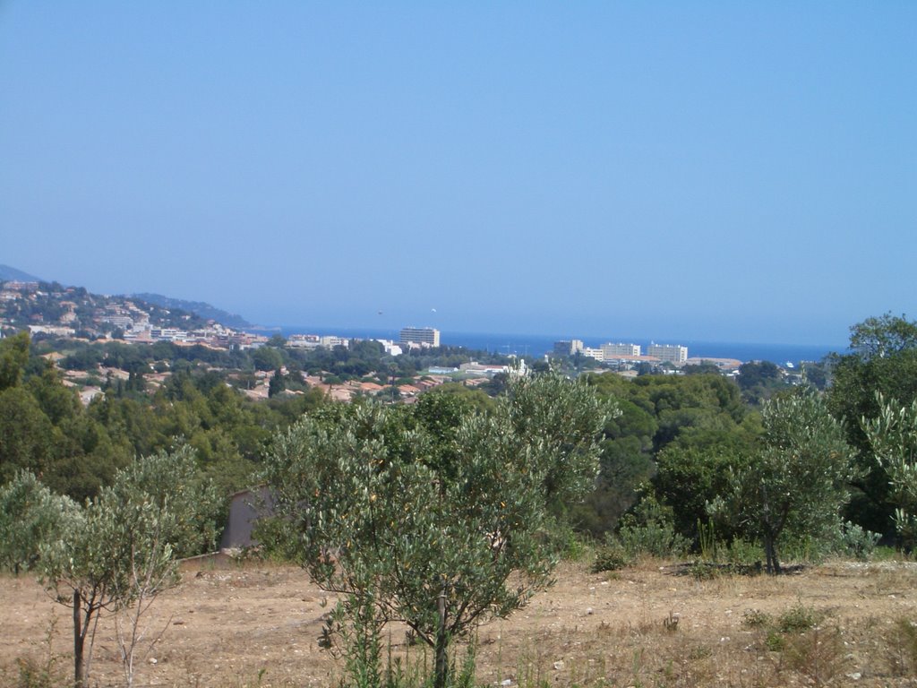 Le Lavandou seen from the hill by Ernest B