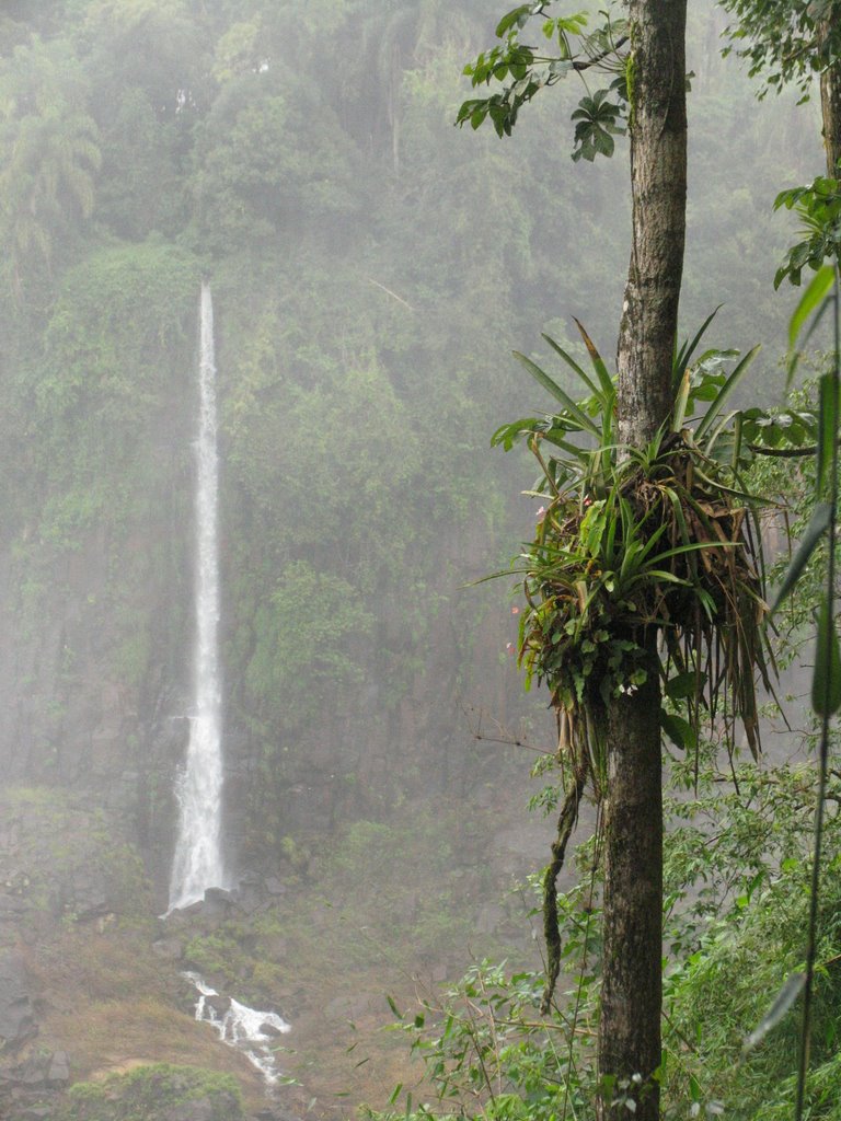 Cataratas del Iguazú by Leonardo Passano Rot…