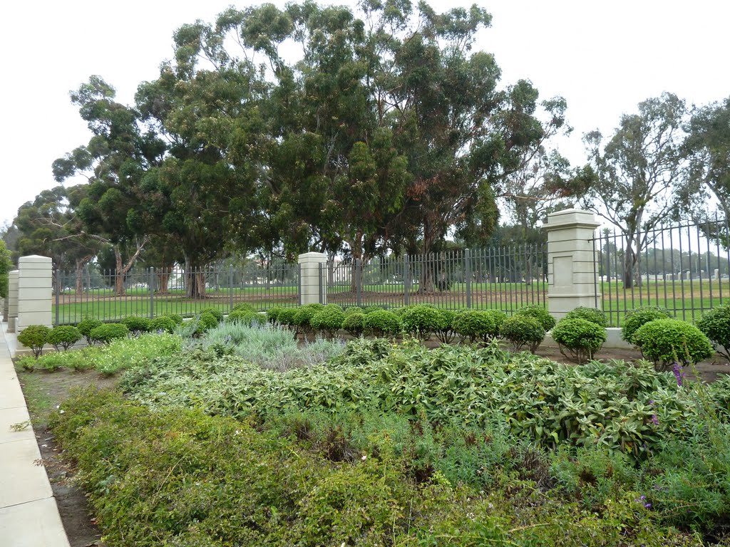 Los Angeles National Veterans Park by Alan Fogelquist