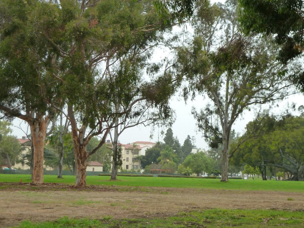 Los Angeles National Veterans Park by Alan Fogelquist