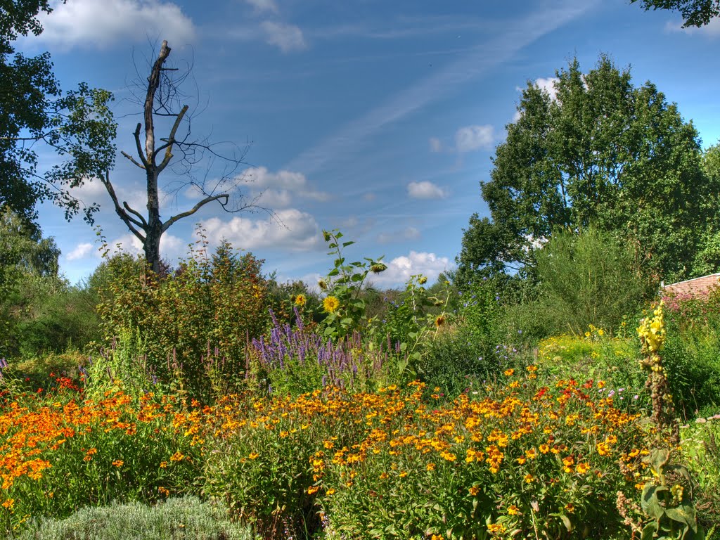 Bloemen in park Schothorst by Fokke Nauta