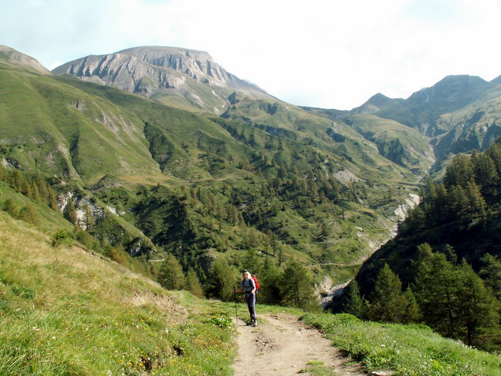 Blick Richtung Saflischpass by Norbert Burgener