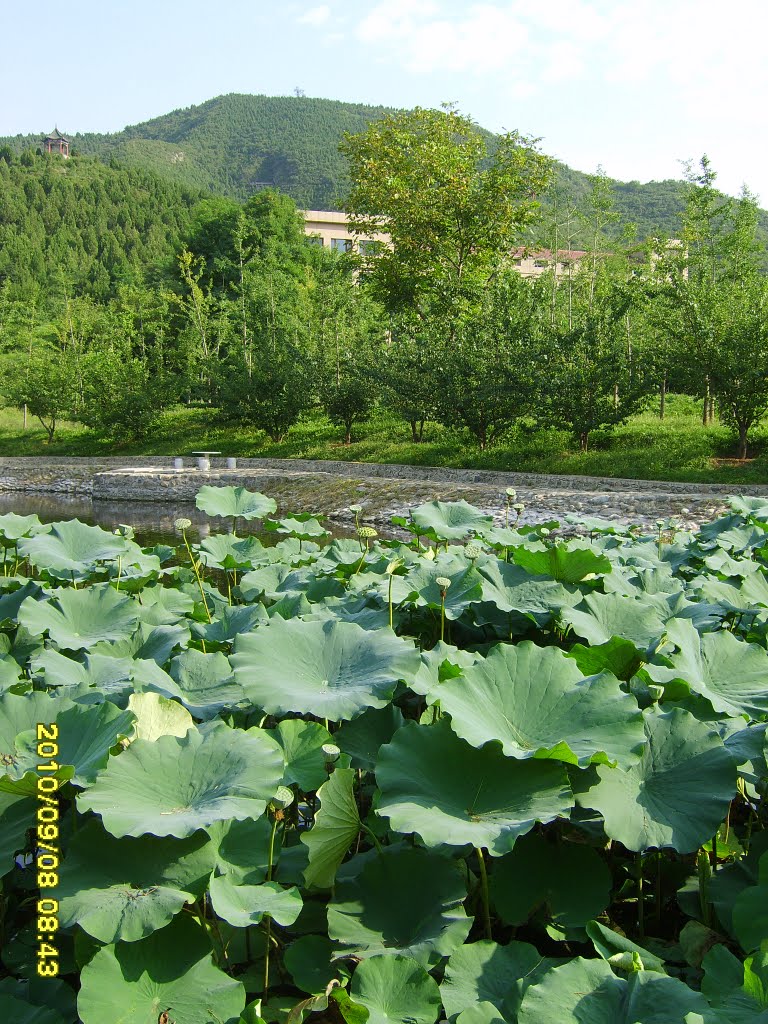 Huairou, Beijing, China by 庄稼院院士