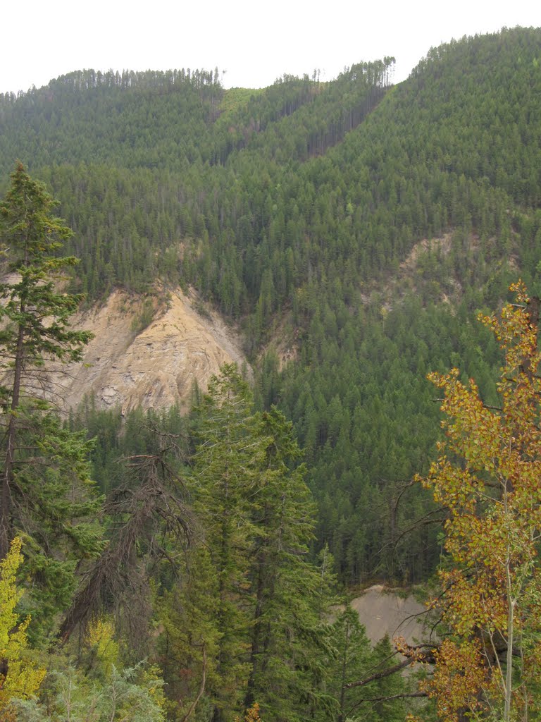 Staring Down The Depths of Kicking Horse Canyon With Green And Gold Near Golden BC Sep '10 by David Cure-Hryciuk