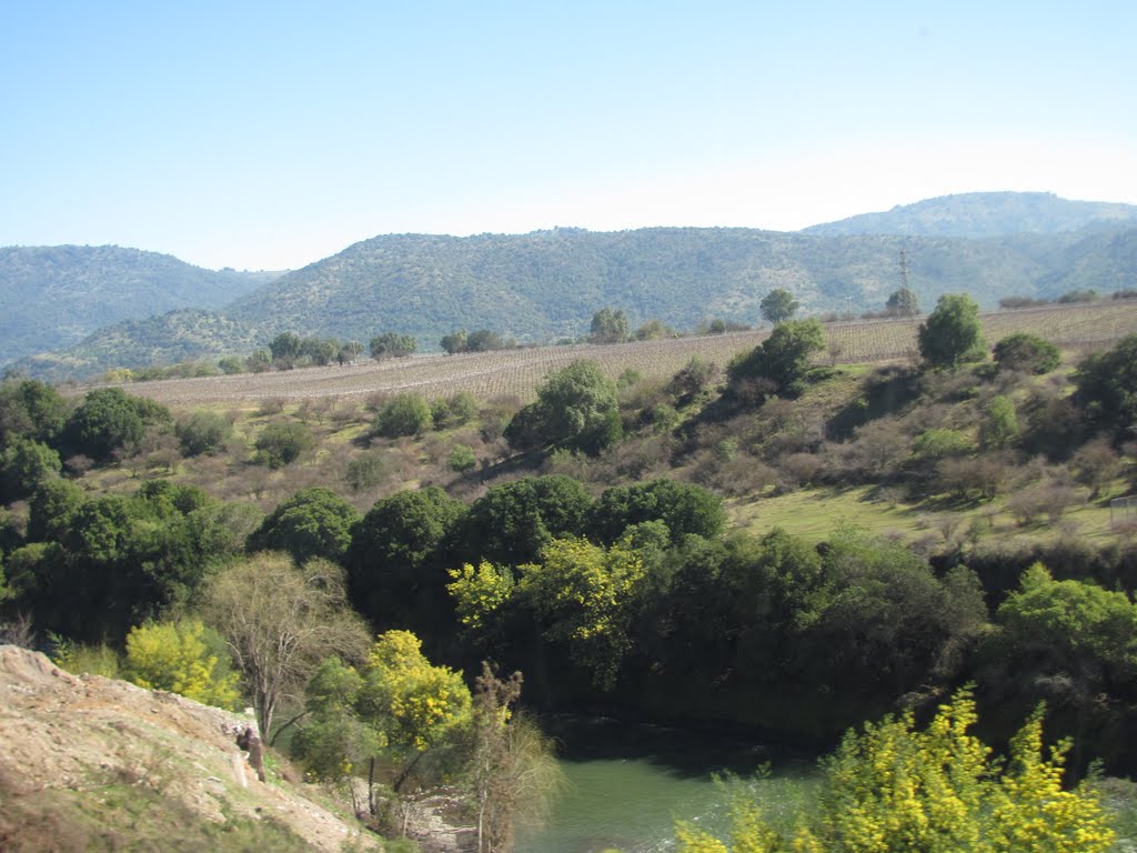 Puente Rio Claro - Vista a la Costa by Dr.Sulmp