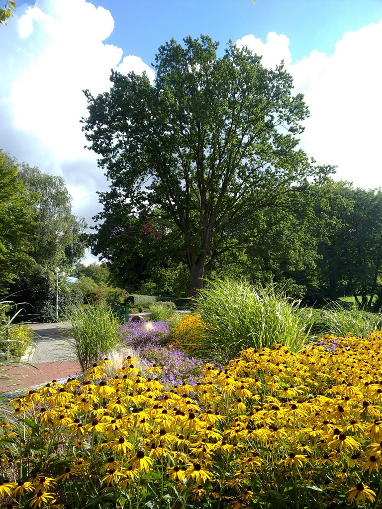 Grugapark Sitzplatz Dahlienarena...Dahlia Arena..The Oak by RoMue