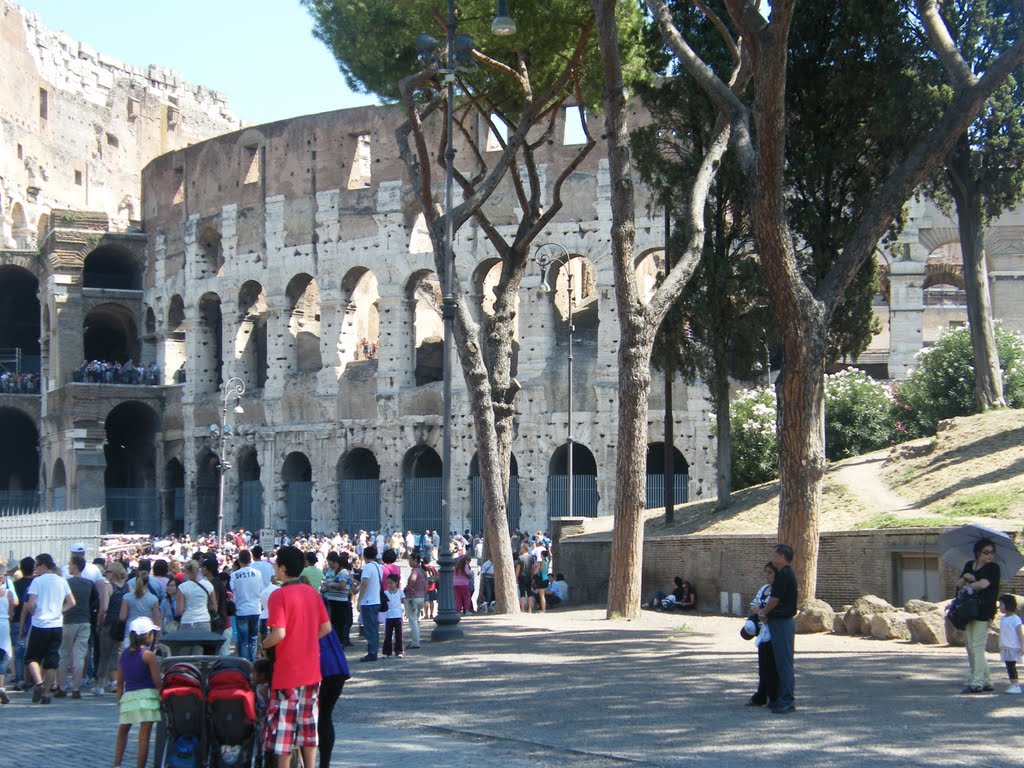 Rome Colosseum by jo mor