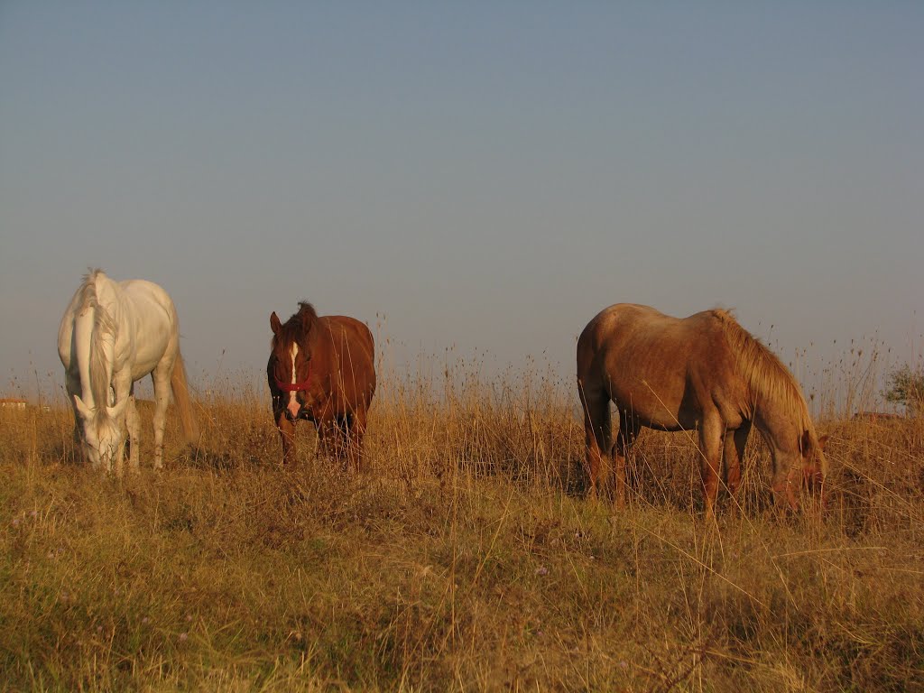 Sinemorets, Bulgaria by Nameofrose