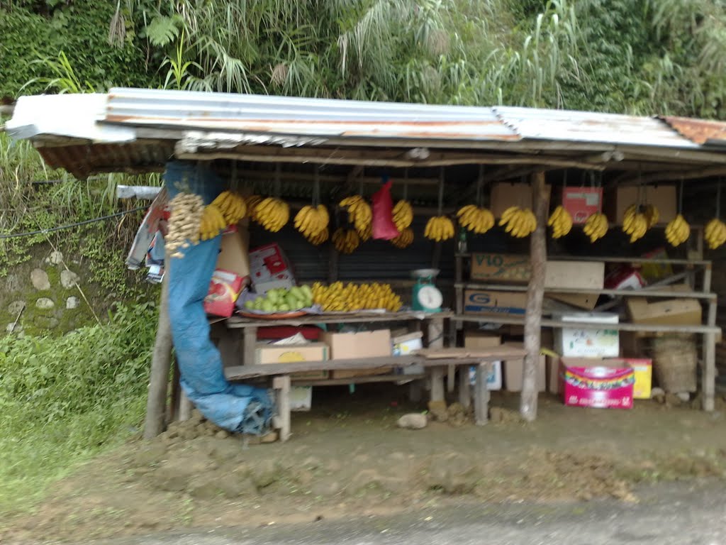 Tuba, Benguet, Philippines by Jam Pol