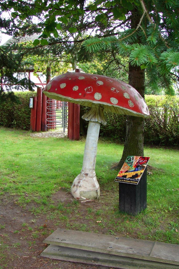 Freilichtmuseum Klockenhagen - Pilz - Zeit by Rueganer