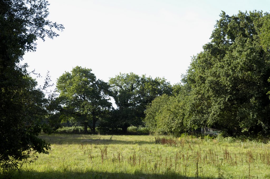 Belz, Morbihan, am Wanderweg GR 34 by Uwe Gehring