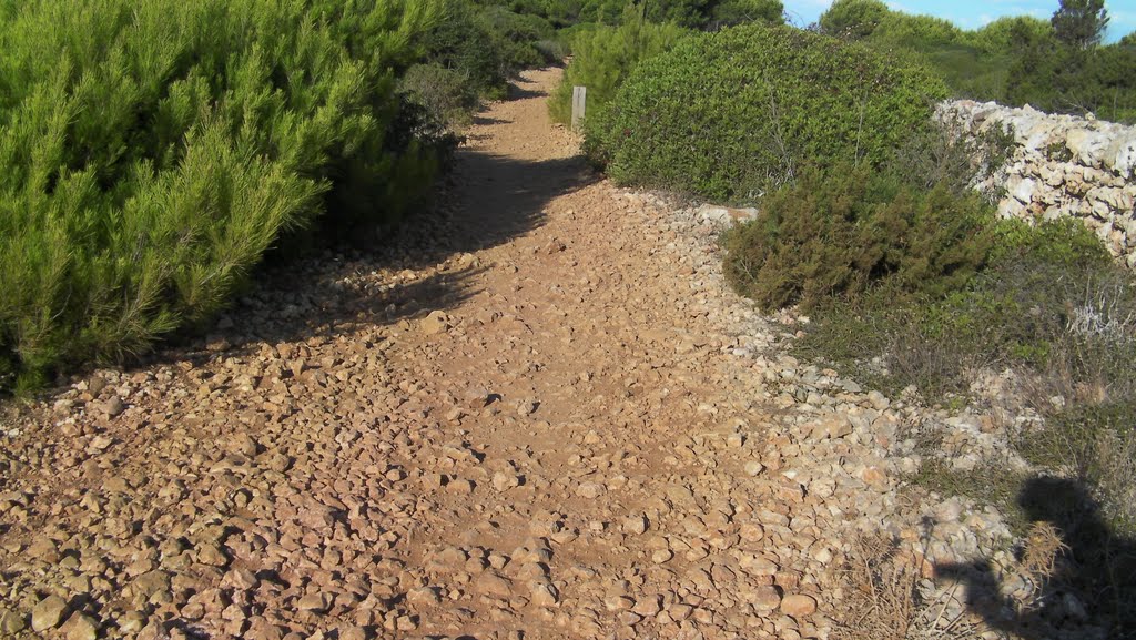 Cami de cavalls (Son Xoriguer - Son Saura de Ciutadella) 03 by Alejandro Luis Carre…