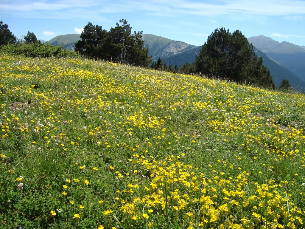 Passo Ordino/Canillo (07/2010) by Urias E. Takatohi