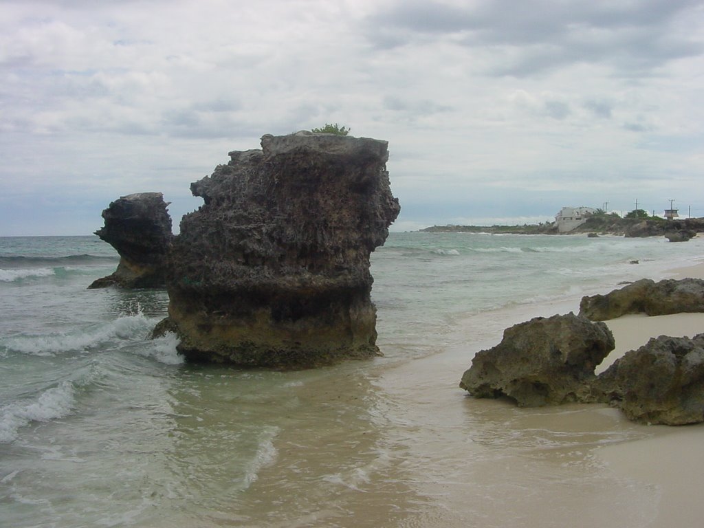 Roca a Isla Mujeres by Manel Pelegrí Gavarr…