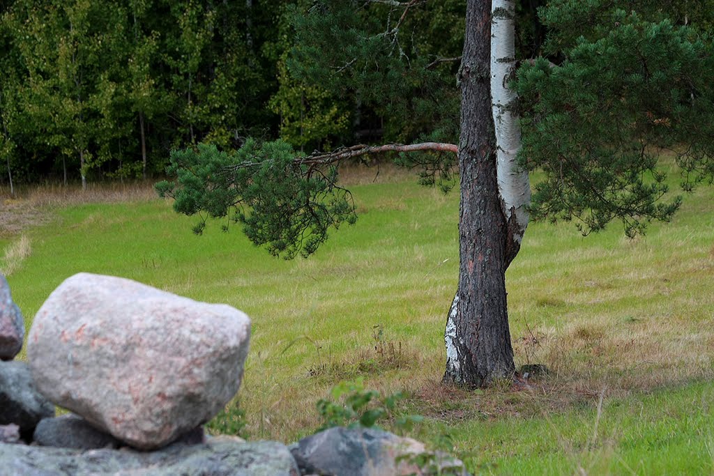 Helsinki, Pitkäkoski. Together forever (Central park) by Ilkka T. Korhonen